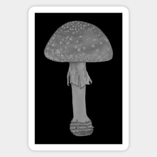 Black and white fly agaric Magnet